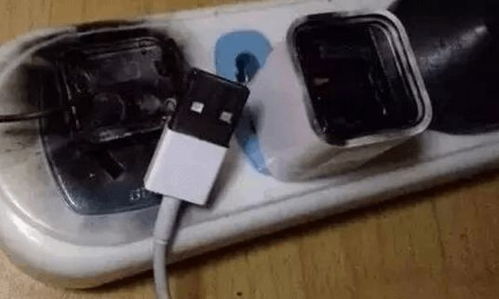 手机充电器不用时 拔还是不拔？真相在这里